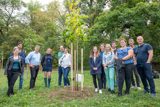 ATENOR planted 2020 trees in Budapest