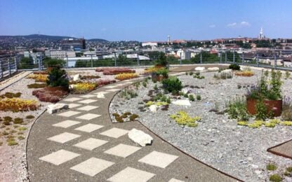 Veeva Moves to Alkotás Point
