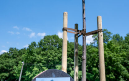 Acting for sustainable cities: ATENOR continues its tree planting program in Budapest