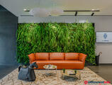 Offices to let in myhive Haller Gardens