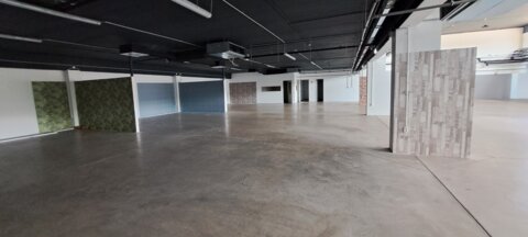 Offices to let in Korzo by Alfa Irodaház