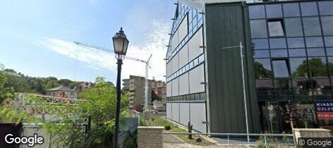 Street View: Pantherum