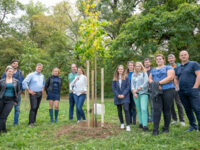 ATENOR planted 2020 trees in Budapest