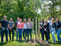 Acting for sustainable cities: ATENOR continues its tree planting program in Budapest