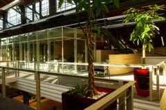 Offices to let in Máriássy Ház Loft