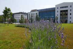 Offices to let in Tópark - Be My City Phase I