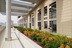 Offices to let in House of Business Capital Square