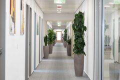 Offices to let in House of Business Capital Square