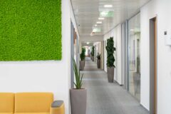 Offices to let in House of Business Capital Square