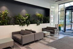 A recepció