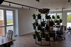 Offices to let in Alfa HUB Business 11