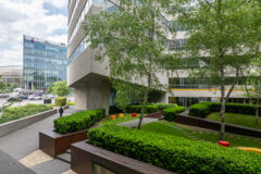 Offices to let in Népliget Center