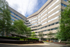 Offices to let in Népliget Center