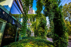 Offices to let in Green House