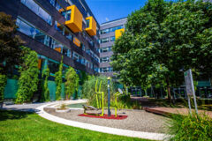 Offices to let in Green House
