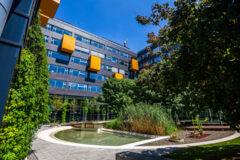 Offices to let in Green House