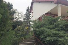 Offices to let in Kiadó  II. Vihorlát utcában lévő 245 nm –es önálló családi ház irodának